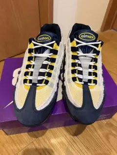 Eric Koston × Nike SB Air Max 95