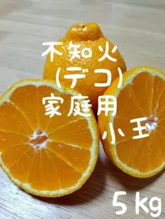 182愛媛県産 不知火 デコポン 家庭用小玉 ５㎏のサムネイル