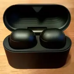SONY WF-1000XM6 ワイヤレスイヤホン 本体