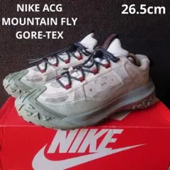 2026年最新】nike acg gore-tex マウンテンフライの人気アイテム