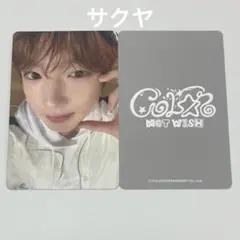 NCT WISH ウィシ アルバム COLOR ポップアップ 特典トレカ サクヤ