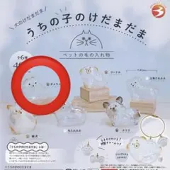 うちの子のけだまだま ポメラニアン
