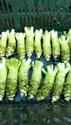 はなこそば様専用ページ