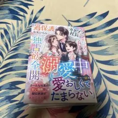 過保護なカタブツ社長は、雇われママと子どもを独占欲全開で溺愛中