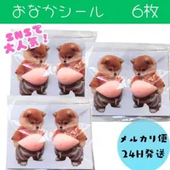 뱃살 스티커 6장, 시바 이누 푸니 스티커, 3D 입체 스티커 북