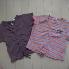 ストライプ Tシャツ フリル袖 ギャザー入り