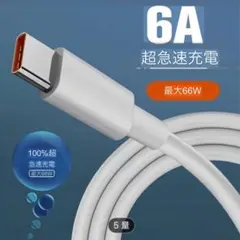6A USB Type-C 充電ケーブル 100cm 2本
