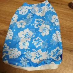 Item thumbnail for item 5bd0d05b-ed81-4fa4-b5b1-142706e5be45