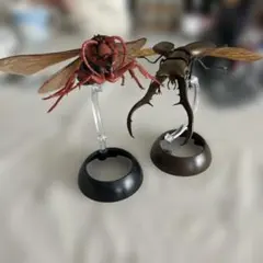 生き物大図鑑まとめ売り