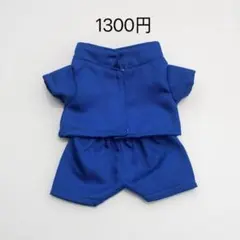 【1000円以上発送可】ぬいぐるみ シャツとパンツセット　20cm 無属性