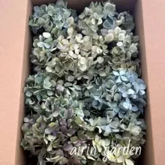 北海道ドライフラワーRose&grass様 リクエスト 4点 まとめ商品