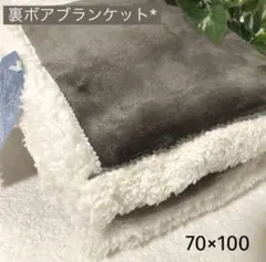 ◎新品◎裏ボアブランケット ひざ掛け トープ 新色 70×100