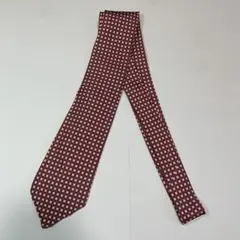 【セッテピエゲ】TIEYOURTIE タイユアタイ ボルドー 赤 チェック柄のサムネイル