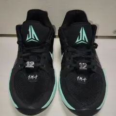 nike JA2 Tiffanyswoosh