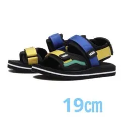 キッズ VANS ヴァンズ 19㎝