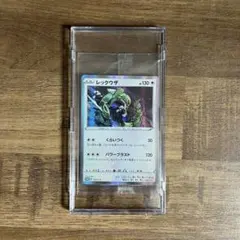 2026年最新】レックウザ プロモ 未開封の人気アイテム - メルカリ