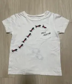 Insect Collection インセクトコレクション Tシャツ