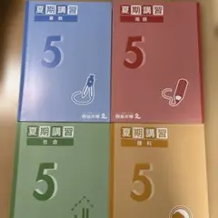 【書込みナシ】四谷大塚　夏期講習 5年 算数　国語　理科　社会　中学受験