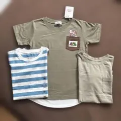 Item thumbnail for item a4362f7e-04f4-492b-867e-ed87fb72e845