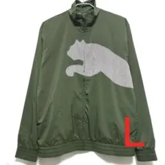 Item thumbnail for item 7e1de709-ba42-4b86-8a07-a8b88b634640