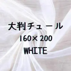 Item thumbnail for item 47b23ce7-a8a3-4bd1-ad55-dd6cf8a9882c