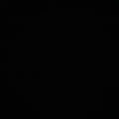 たにし様　専用　キョシー