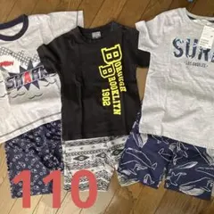 キッズ Tシャツ パンツ セット 110のサムネイル