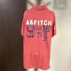 アバクロンビー&フィッチの半袖ポロシャツピンク 鹿の刺繍ヴィンテージ加工メンズMのサムネイル