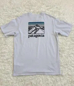パタゴニア ポケットTシャツ S（M相当） バックプリント マウンテン 22年製