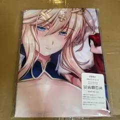 2026年最新FateGrandOrder抱き枕カバーの人気アイテム - メルカリ