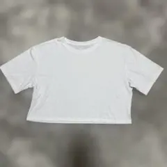 Item thumbnail for item da98924f-2431-4639-af69-898e7e9b65e4