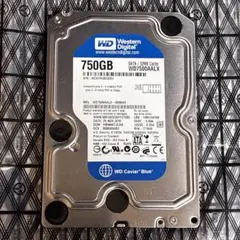WD 블루 750GB HDD 3.5인치 정상 작동 확인 지워짐