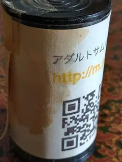 アダルトサムチップ