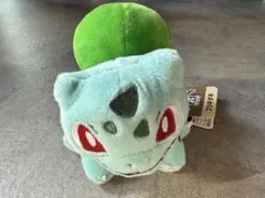 【美品！】ポケモンfit フシギダネ　旧タグ付き