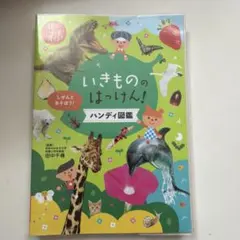 いわて多文化共生ハンドブック - メルカリ