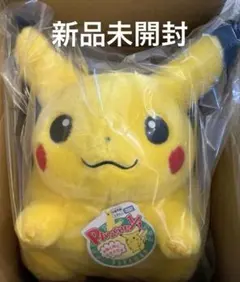 新品 ポケットモンスター ポケモン30周年記念 おかえり！ピカチュウ1/1
