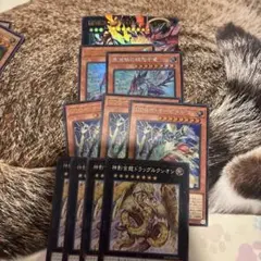 遊戯王　ギャラクシーアイズ　デッキパーツ