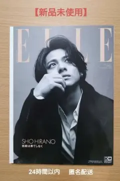 増刊 ELLE JAPON 特別版 2023年11月号 - メルカリ