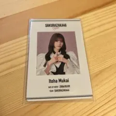 櫻坂46 向井純葉 櫻坂カフェ IDカード