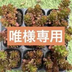 唯☆プロフ必読様 リクエスト 3点 まとめ商品