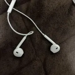 Apple純正有線イヤホンcタイプ