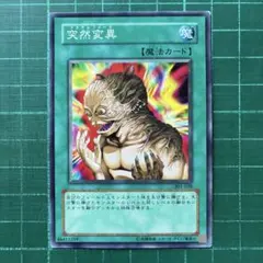 Item thumbnail for item 467eeae1-02ad-4783-9091-fec767ce6d14