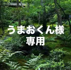 うまおくん様専用 おまとめ同梱
