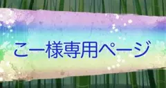 【こー様専用】プリンセス・アーサー　ステラワース特典小冊子2冊セット