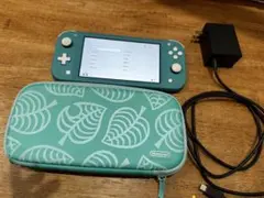 Nintendo Switch Lite ターコイズ 専用ケース　充電器つき