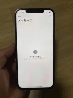 iphone 12 pro max パネル出品のみ