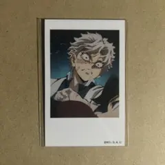 鬼滅の刃 ufotable チェキ風ブロマイド 不死川実弥 冨岡義勇