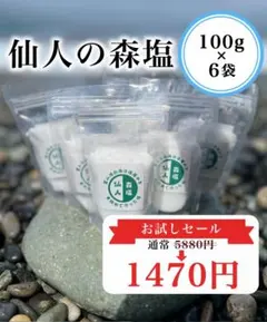 仙人の森塩 100g×6袋 富山湾海洋深層水使用 - メルカリ