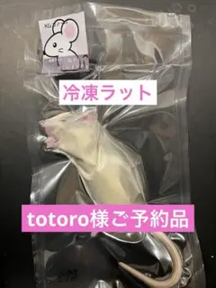 ☆冷凍ラット☆にゃしゅ様ご予約品　リタイア20匹 冷凍マウス リタイアのおすすめ人気商品一覧 通販 - Yahoo!ショッピング