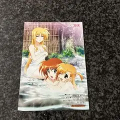 魔法少女リリカルなのは 高町なのは 描き下ろしサイン入り色紙 劇場